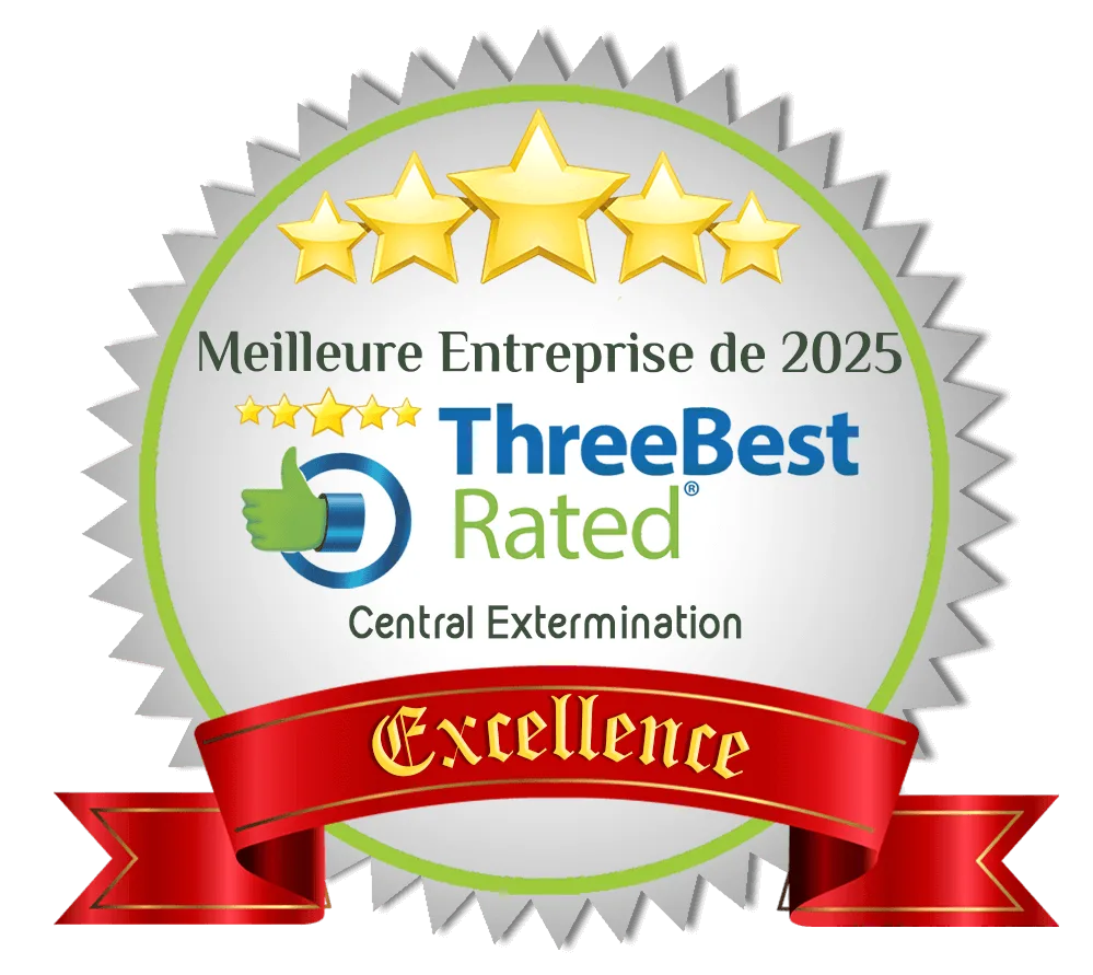 Central Extermination Montreal - Meilleure Entreprise de 2025